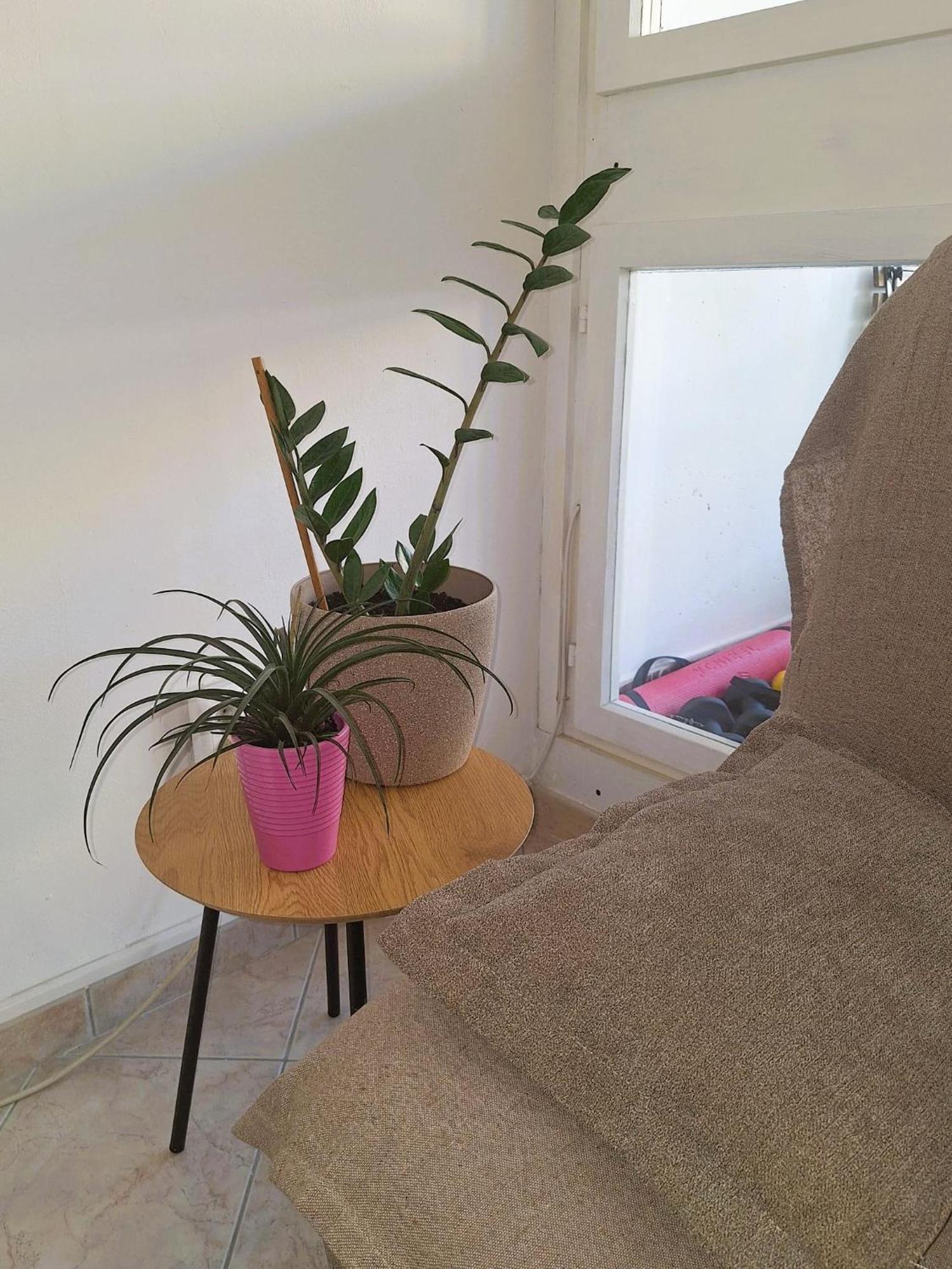 Apartment Mangus Сплит Екстериор снимка